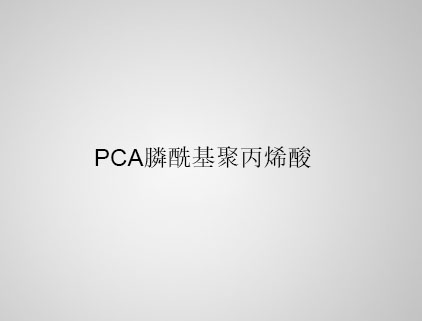  PCA 膦?；郾┧? class=
